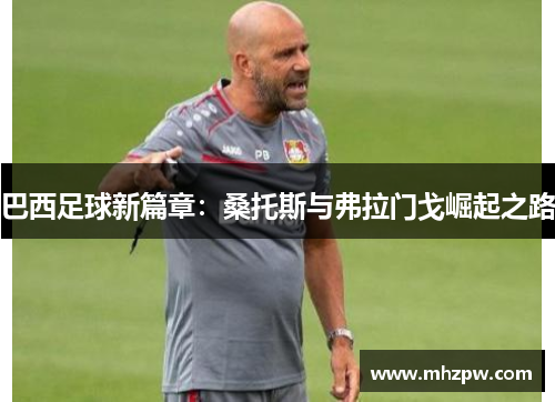 巴西足球新篇章：桑托斯与弗拉门戈崛起之路